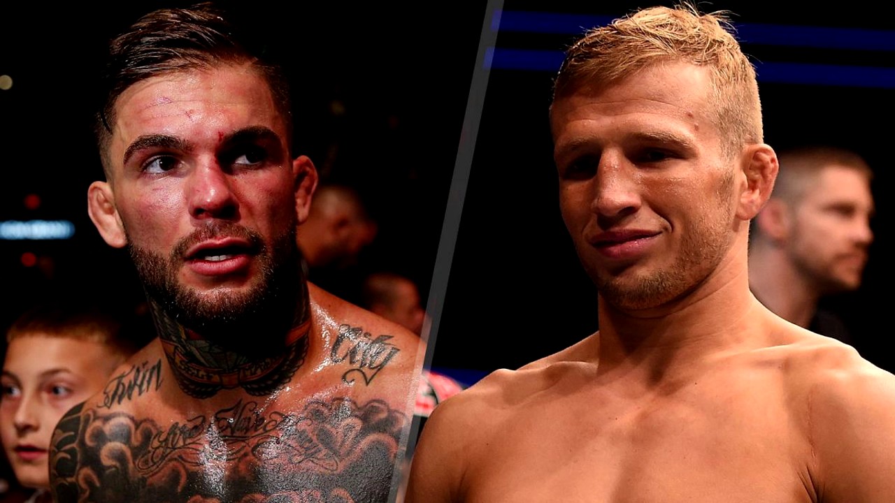 cody garbrandt tj dillashaw